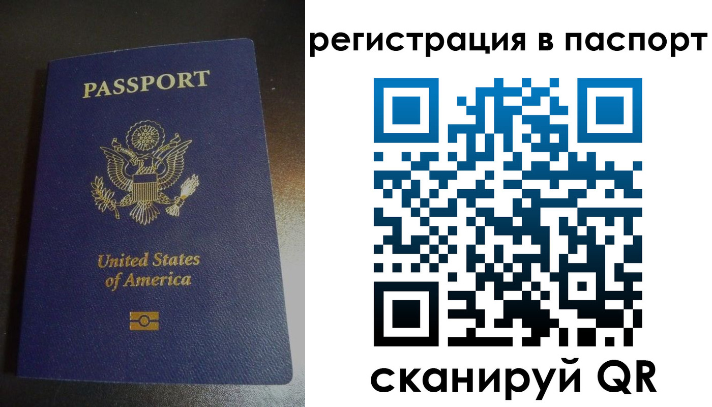 прописка для школы в Дедовске
